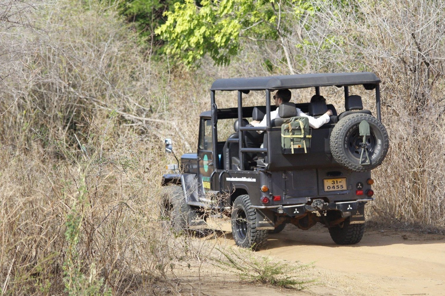 Private 5-hour Udawalawe safari jeep experience